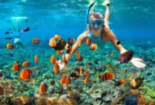 Island Hopping di Kepri