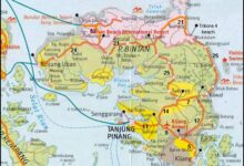 building business in bintan