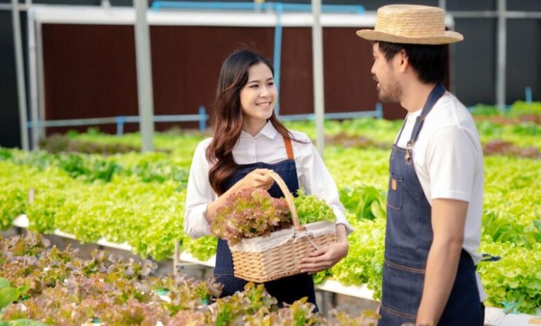 Jenis jenis usaha di Indonesia