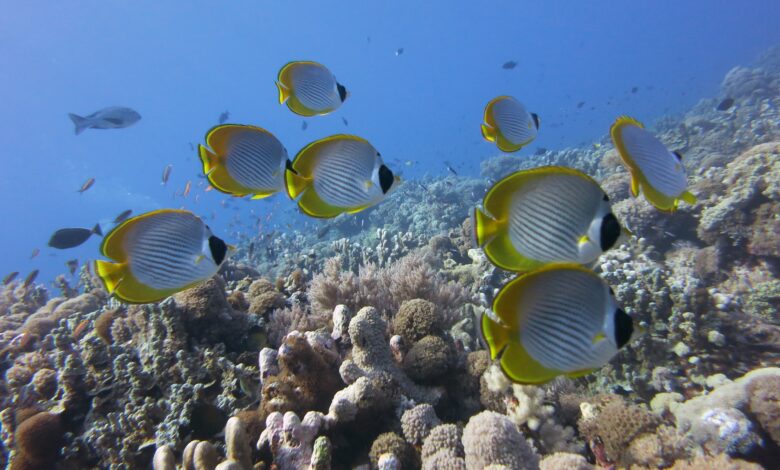 beyond tourism in sabah malaysia